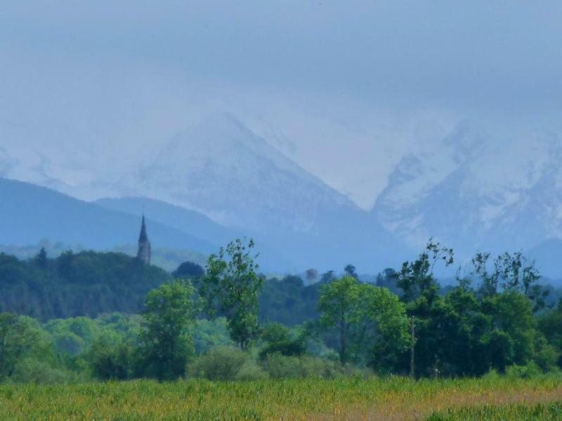 Gite Perisse, Le Petit Gite Appartement Libaros Buitenkant foto